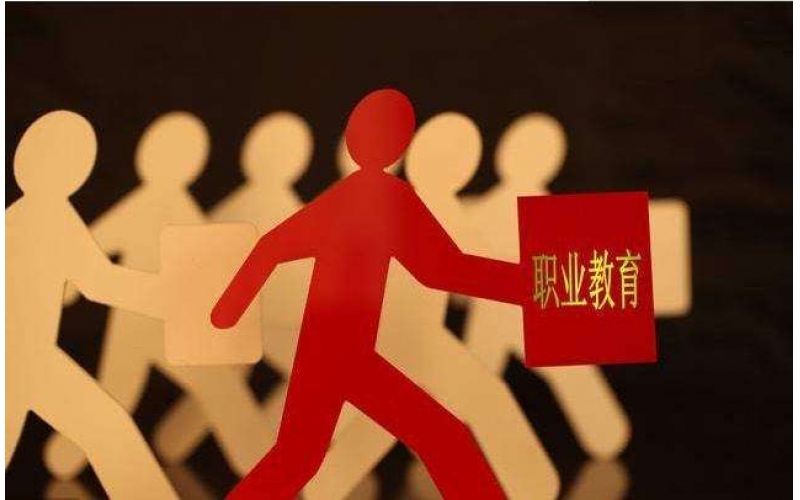 職教專家：發(fā)展適應產(chǎn)業(yè)需求的多樣化職業(yè)教育模式